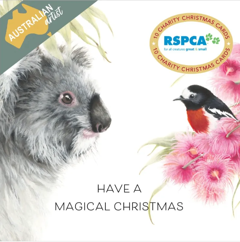 RSPCA Christmas Card Pack - Magical Christmas